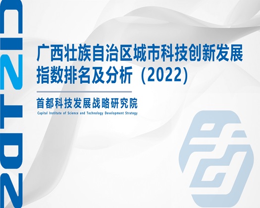 日jjav【成果发布】广西壮族自治区城市科技创新发展指数排名及分析（2022）